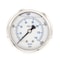 Pic Gauges 2 1/2 in Dial, 1/4 in NPT Male Center Back Location, Stainless Steel Case Material PRO-302L-254O-01 - alternate 1